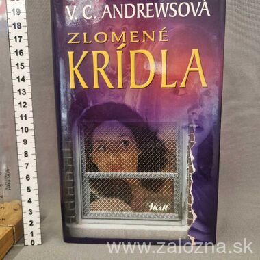 Kniha