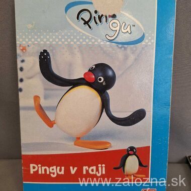 DVD nosič