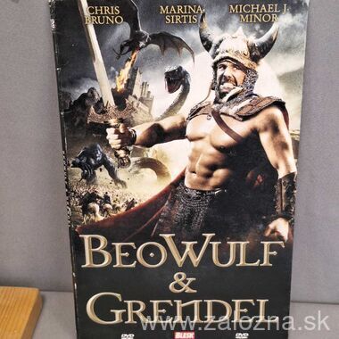 DVD nosič